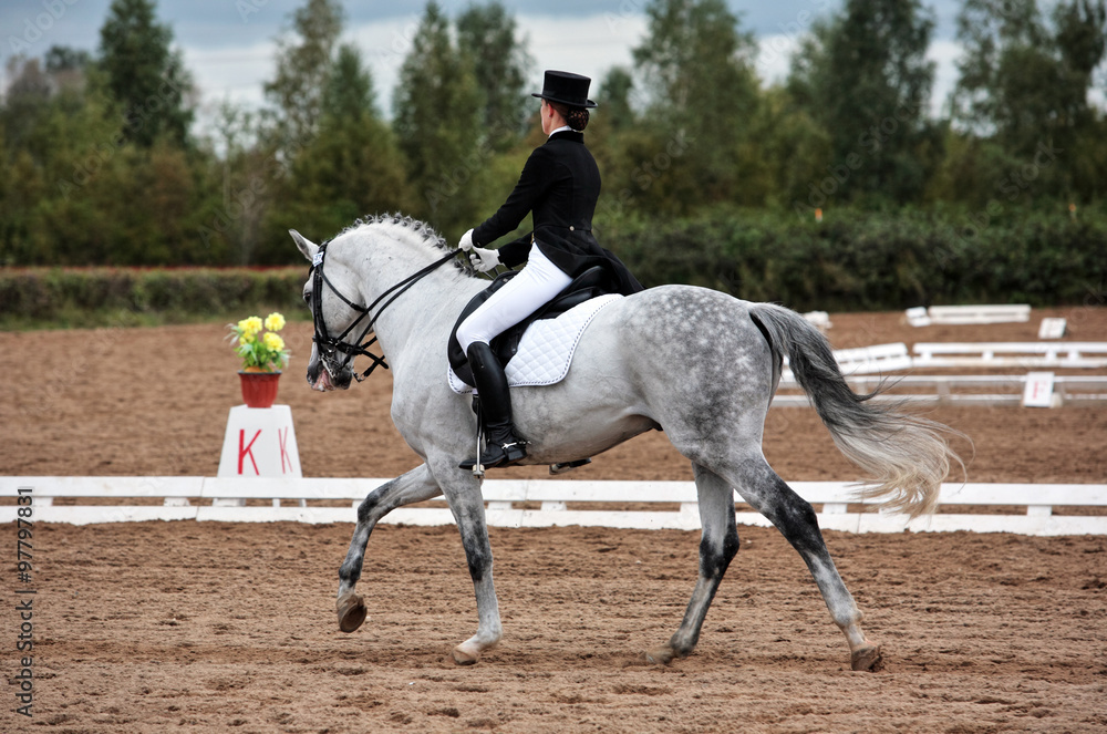 Female dressage rider exercising Female dressage rider exercising