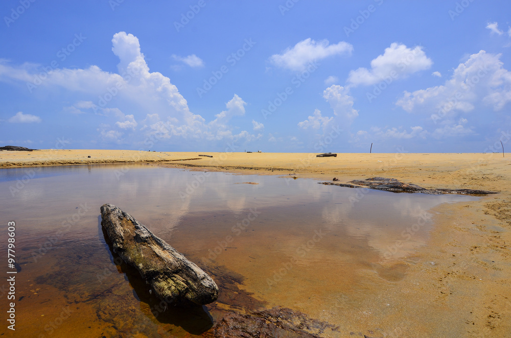 driftwood sticking out of the lake with beautiful blue sky. dram