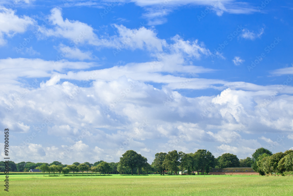 Countryside with green trees, blue sky and dramatic clouds, Netherlands. Countryside with green trees, blue sky and dramatic clouds, Netherlands.