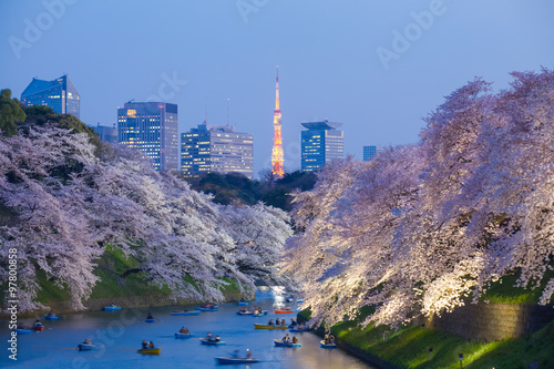 Beautiful sakura cherry blossom light up and Tokyo Tower landmark at Chidorigafuchi Tokyo
