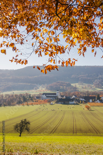 Mariastein, Dorf, Kloster, Kloster Mariastein, Waldweg, Landwirtschaft, Felder, Herbstfarben, Herbstsonne, Herbst, Schweiz photo