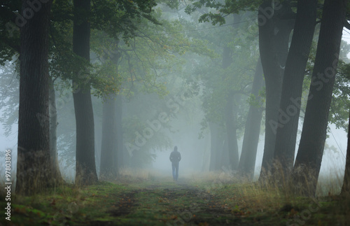 Man walking alone in a lane on a foggy, autumn morning. Shallow D.O.F.
