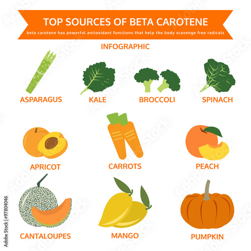 top sources of beta carotene, food info graphic, vector