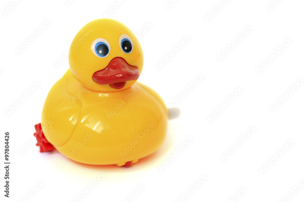 Yellow rubber duck on White Background Yellow rubber duck on White Background