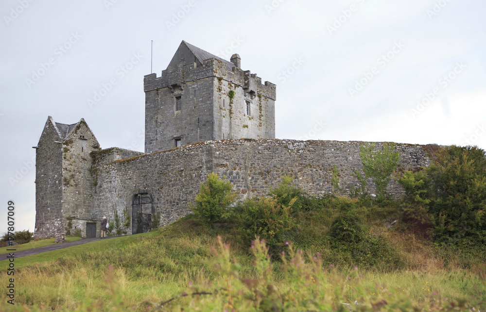 Dunguire castle during summer season in county Galway
