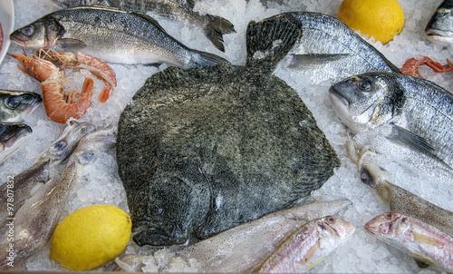 Raw flounder, dorade, seabass, shrimps lie on ice. Sea fish food. Closeup