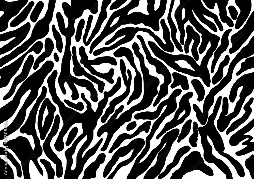 Vector background hand drawn zebra stripes Vector background hand drawn zebra stripes