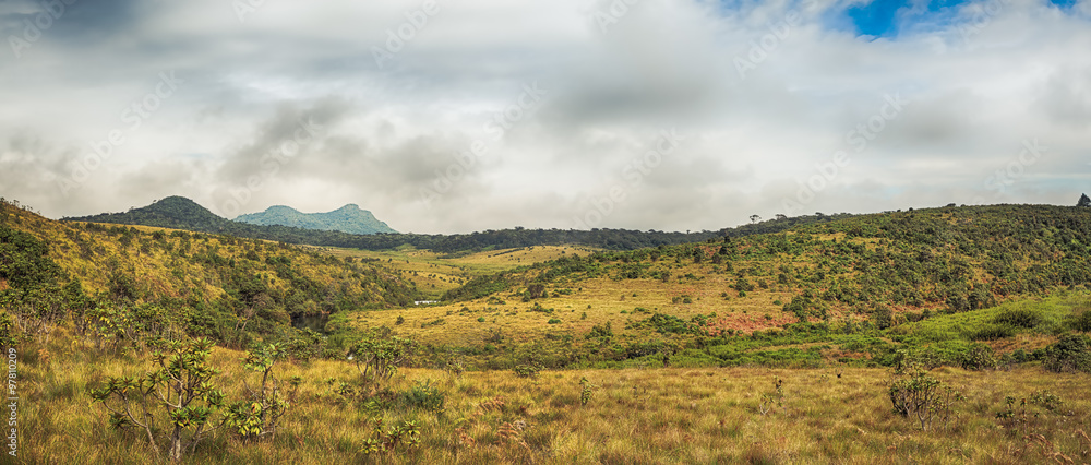 The Horton Plains The Horton Plains