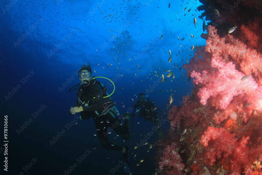 Scuba diver explores coral reef Scuba diver explores coral reef