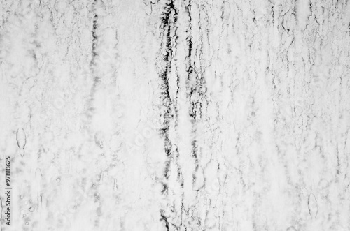 Wallpaper Mural Grunge texture background Torontodigital.ca