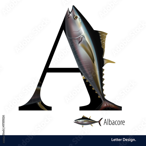 Vector illustration of Letter A for Albacore fish alphabet.