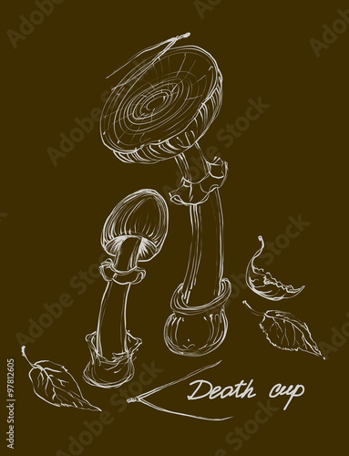 vector hand drawing a set of mushrooms