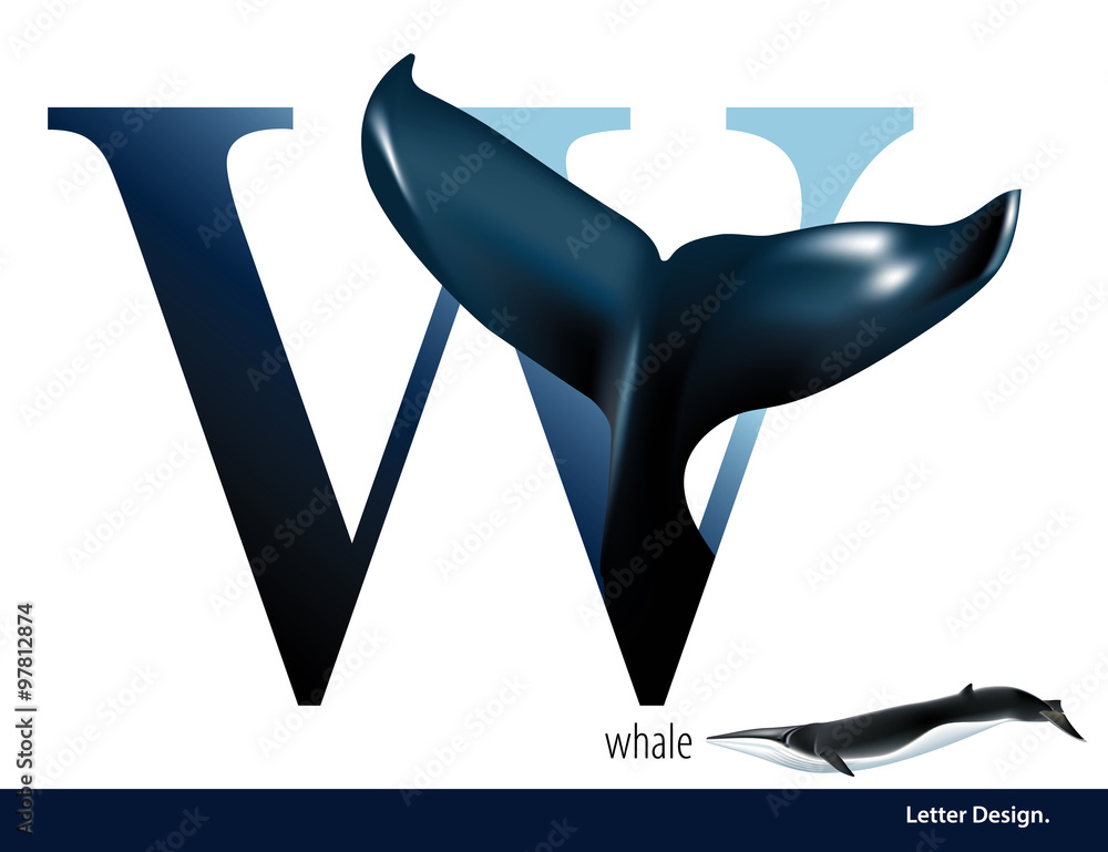 Fototapeta premium Vector illustration of Letter W is Whale alphabet. English abc