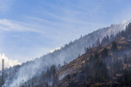 Forest Fire in Mountains of British Columbia, Canada