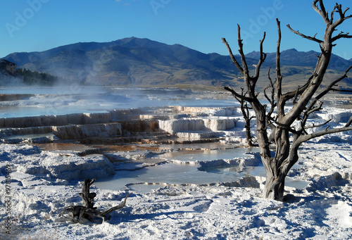 Mammoth Hot Springs Terraces im Yellowstone National Park photo