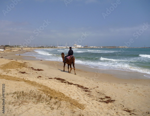 a man riding on a camel on an empty beach