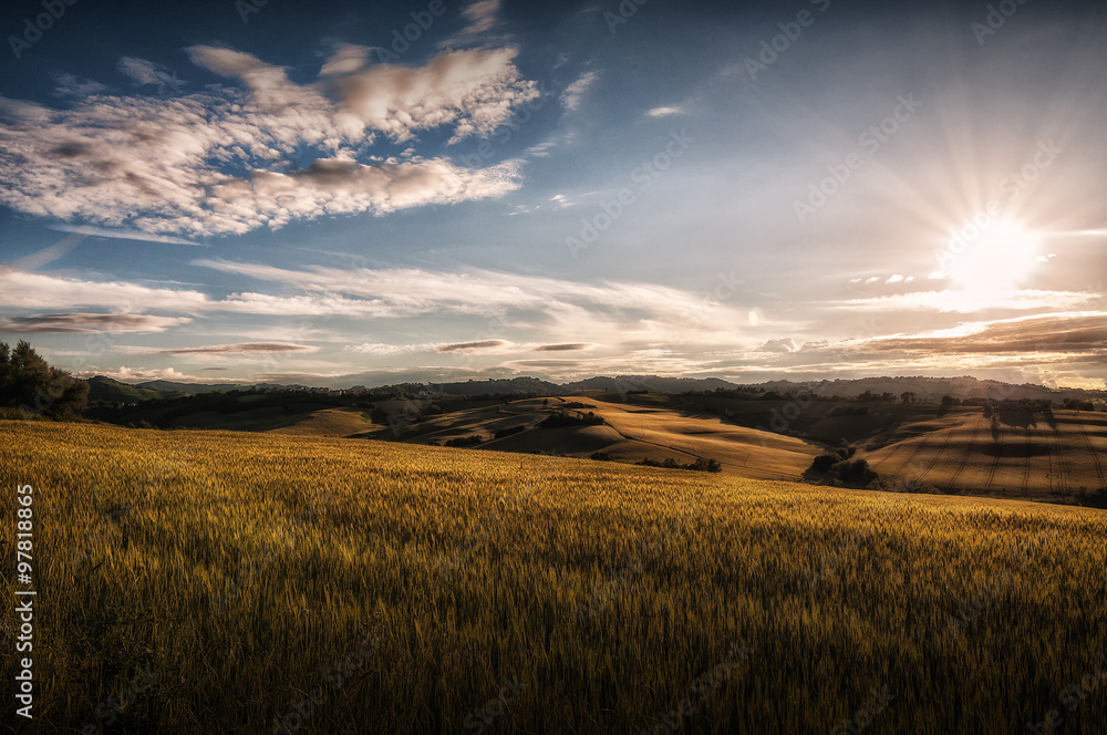 Fototapeta premium Colline pesaro