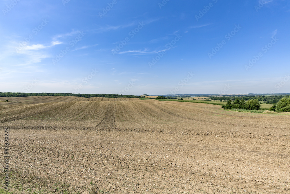 landscape with arable land forest and blue sky