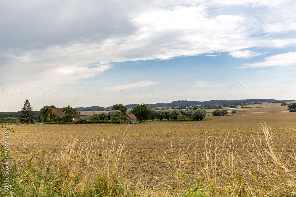 landscape with fields and farmers house