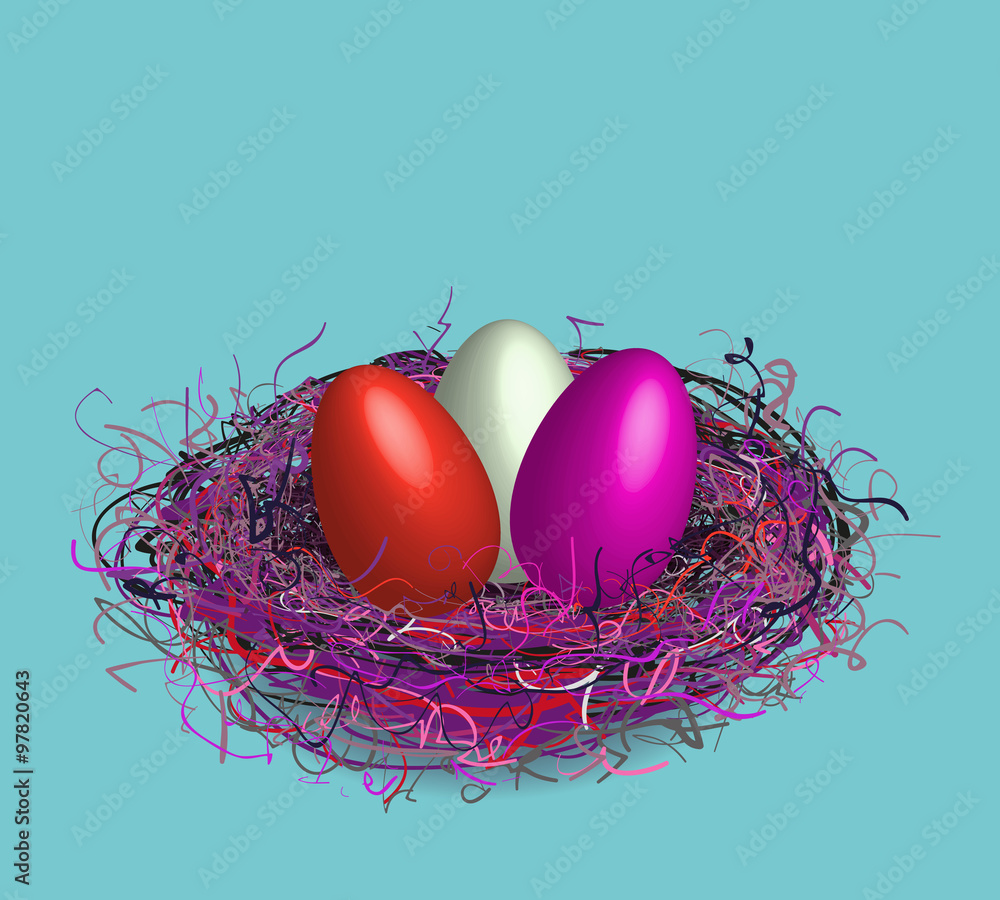 Fototapeta premium Birds nest 