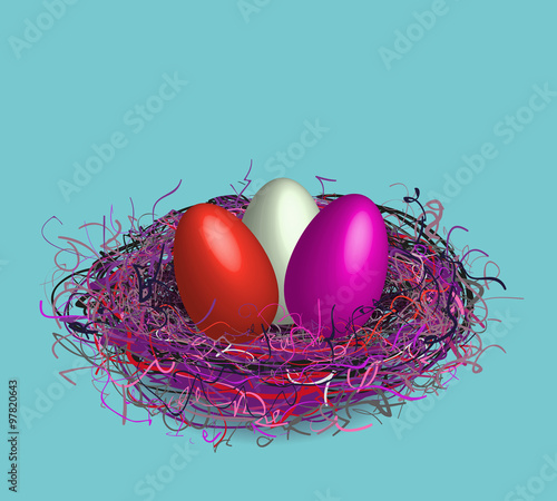 Birds nest 