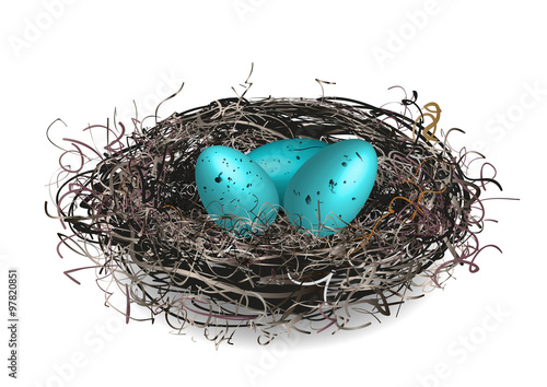 Robins nest with 3 eggs in it. Isolated on a white background