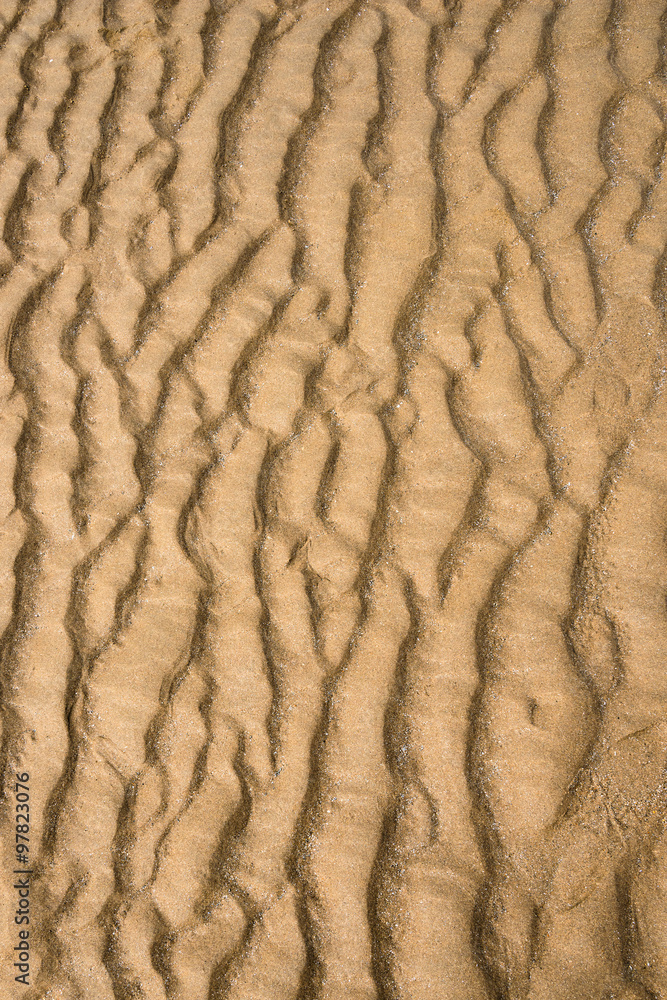 Beach sand full frame texture background natural shape vertical composition Beach sand full frame texture background natural shape vertical composition