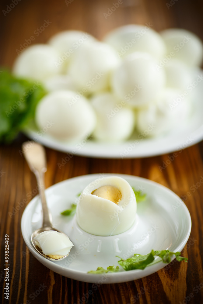 boiled egg on a plate boiled egg on a plate