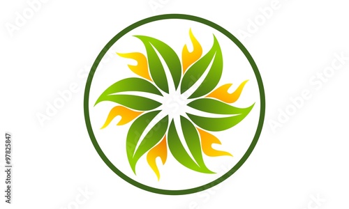 Wealth Management Sun Flower