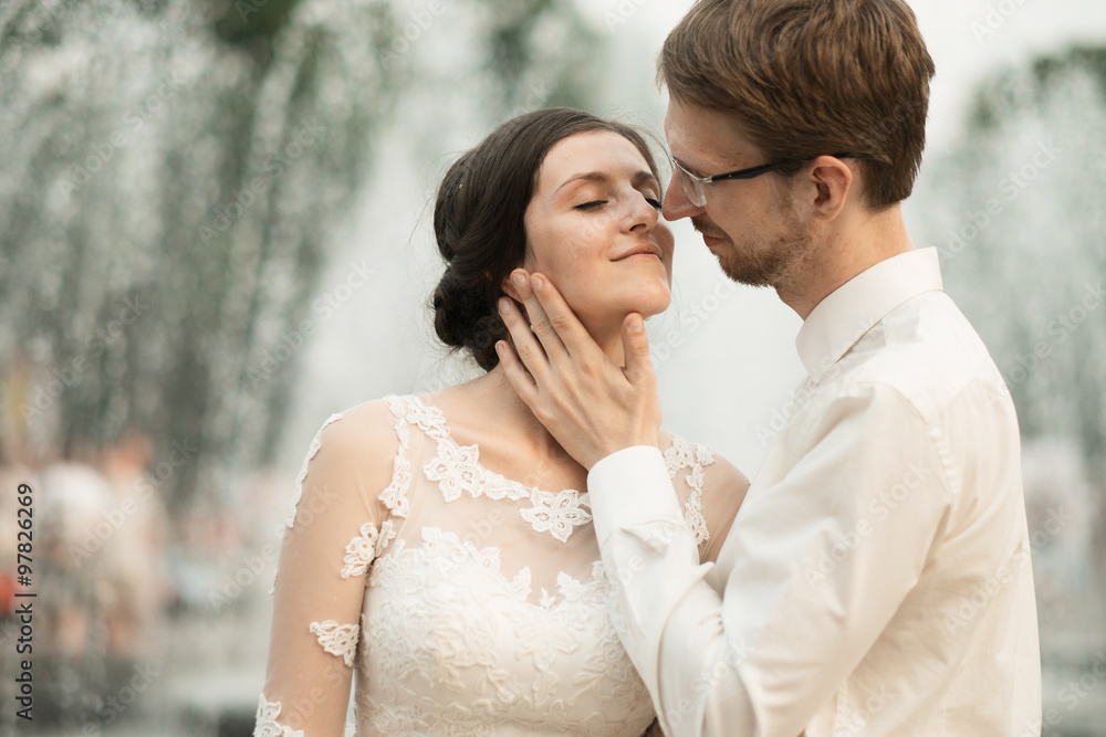 luxury romantic happy bride and groom celebrating marriage luxury romantic happy bride and groom celebrating marriage