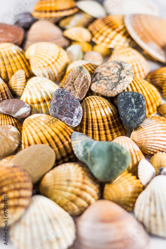 seashells and stones isolated on white background