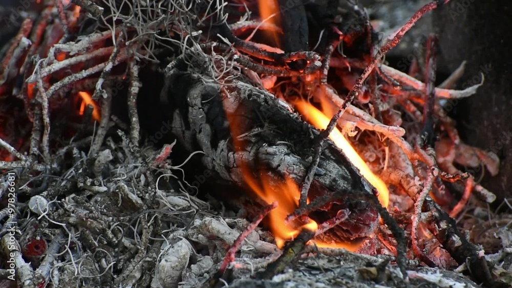 Hot fireplace full of wood and fire. Campfire embers burning. Hot fireplace full of wood and fire. Campfire embers burning.