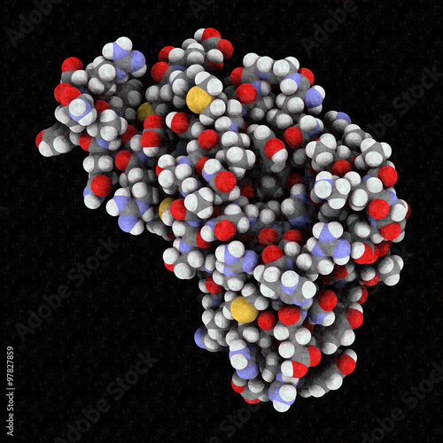 Human prion protein (hPrP), chemical structure.  photo