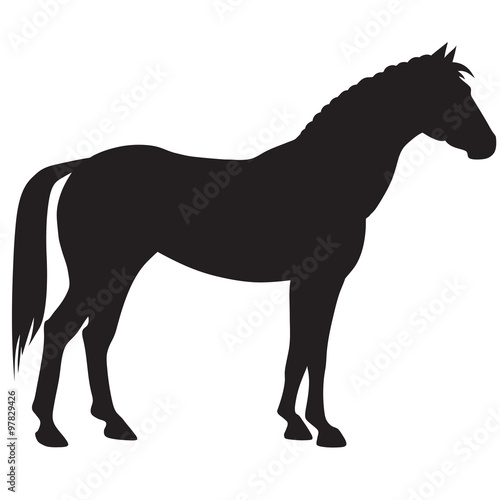 black horse silhouette