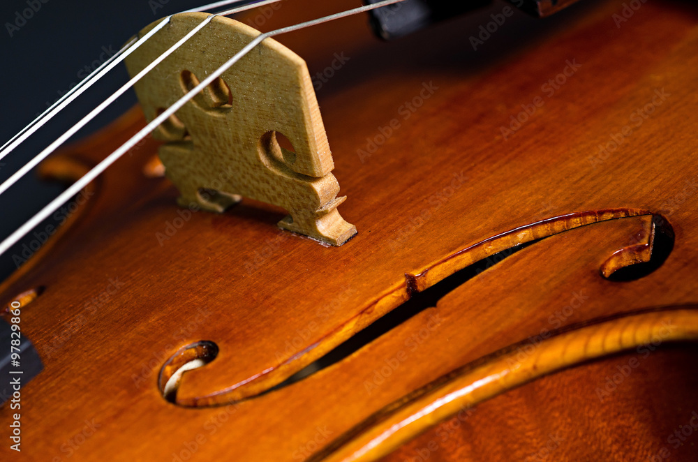 violin part on black violin part on black