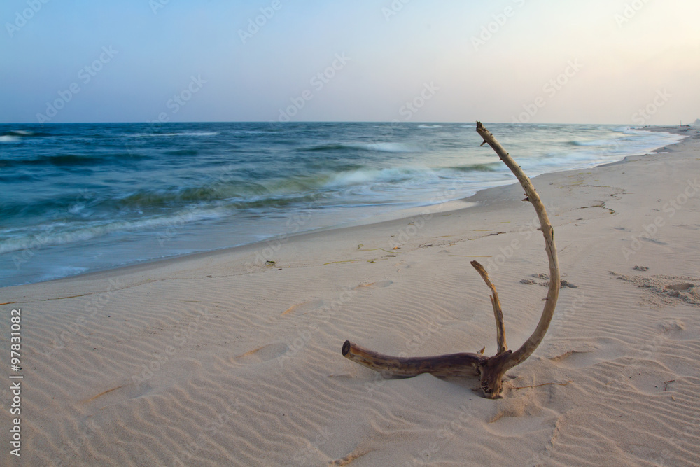 Obraz premium each landscape at the Baltic sea, Poland.