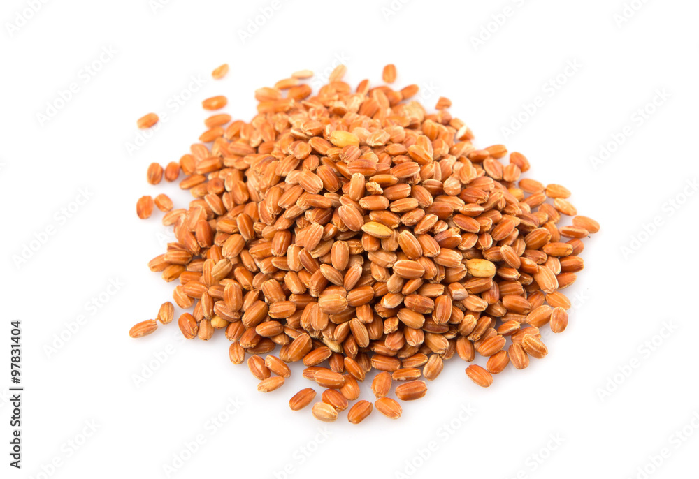 Brown millet grain over white background Brown millet grain over white background
