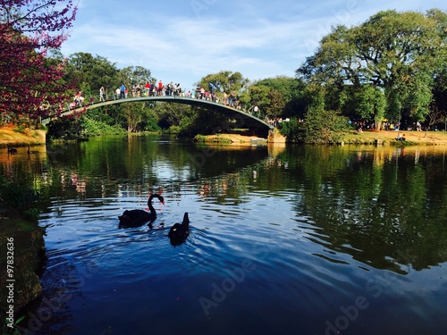 Parque do Ibirapuera photo