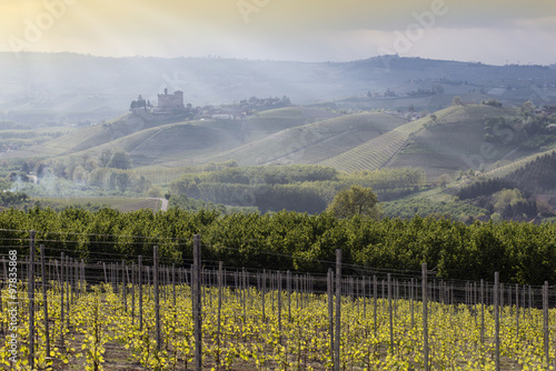 Spring View the Langhe Unesco heritage