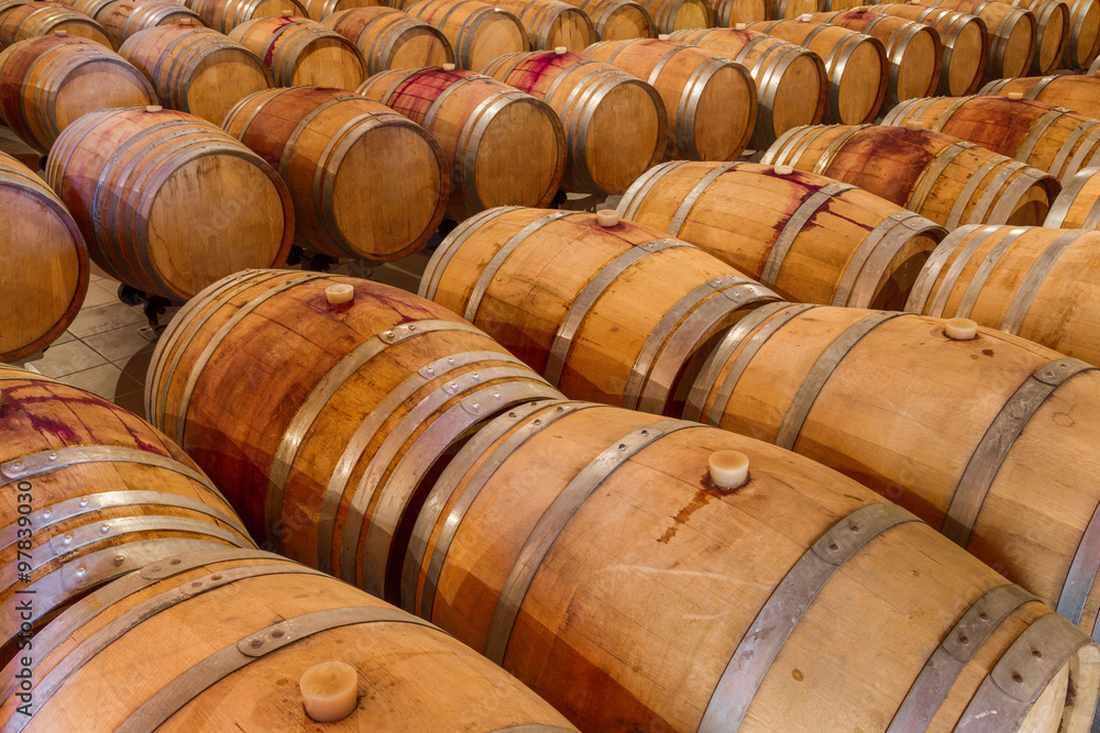 Rows of oak wine barrels in a winery cellar.