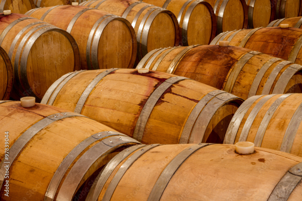 Rows of oak wine barrels in a winery cellar.