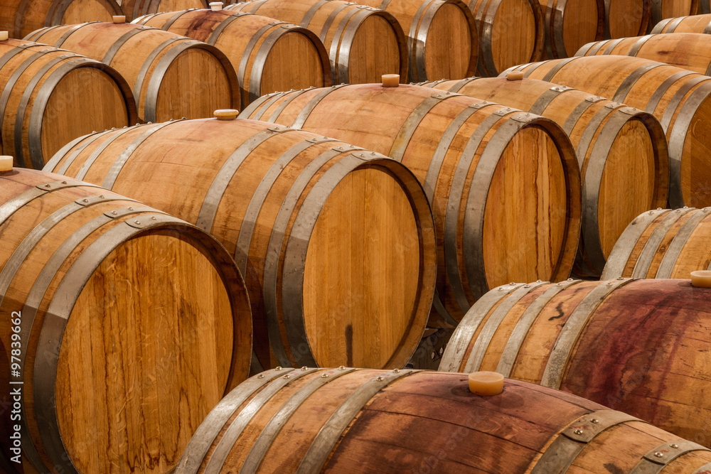 Rows of oak wine barrels in a winery cellar.