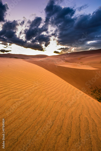 Beautiful Desert Sunset