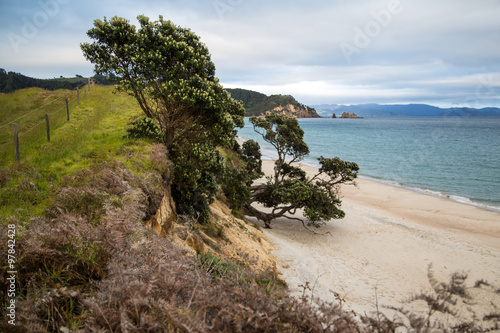Beach Blue Sky Landscape North Island New Zealand cormandel Wharekaho