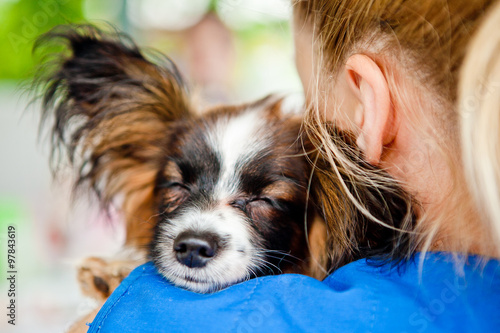 pleasure. dog gives love a man . I pull over to the shoulder and Jacrot delight the eye. photo