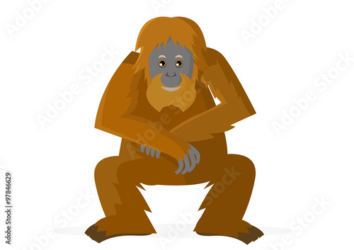 chimpancé feliz