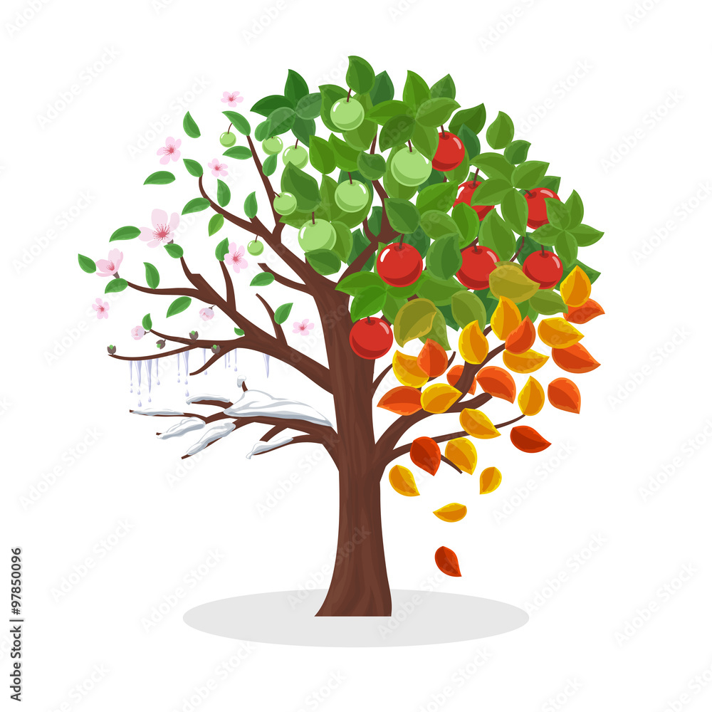Seasons tree vector