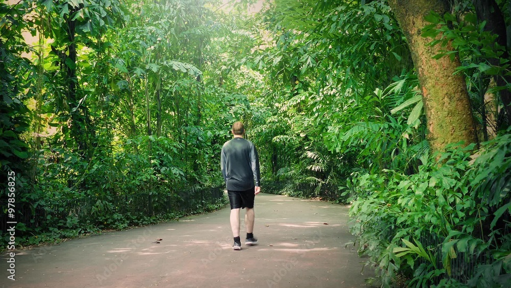 Man Walks On Path Through Tropical Forest Man Walks On Path Through Tropical Forest