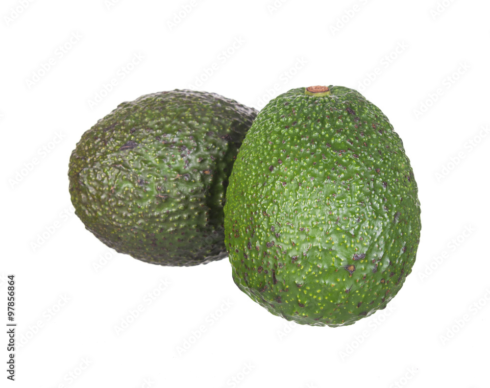 avocado avocado