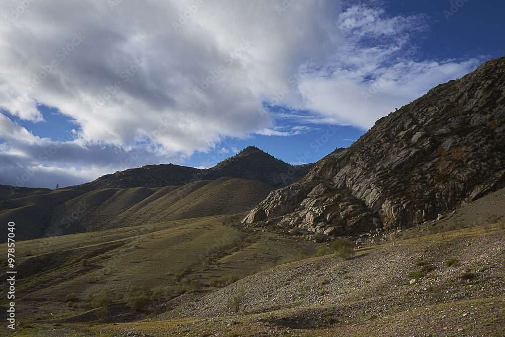 The beautiful nature in the summer in the mountains.